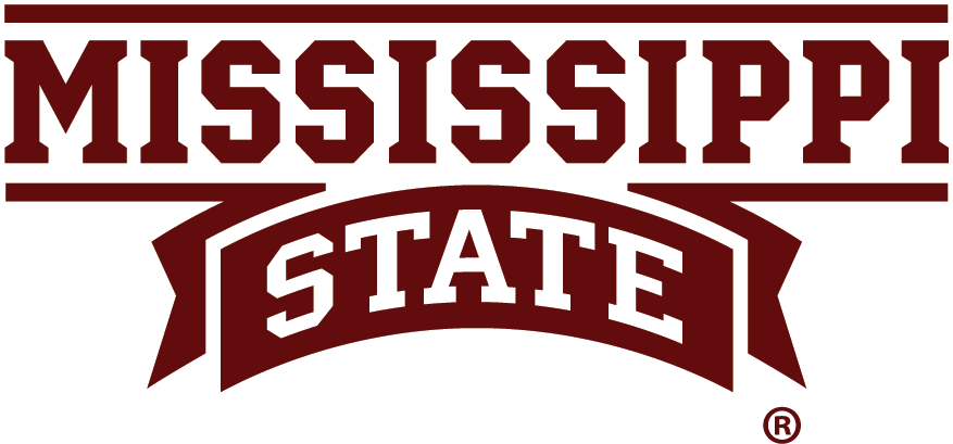 Mississippi State Bulldogs 2009-Pres Wordmark Logo t shirts DIY iron ons